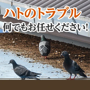キズナのイメージ画像