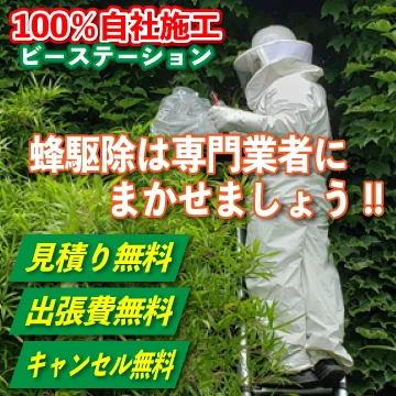 ビーステーションのイメージ画像
