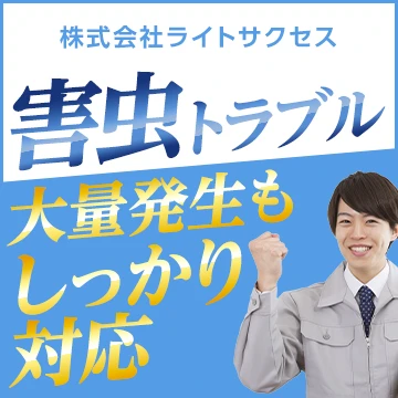 株式会社ライトサクセスのイメージ画像