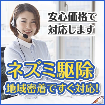 株式会社Raiseのイメージ画像