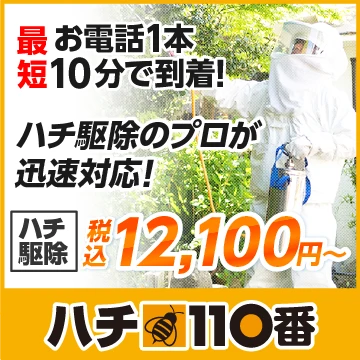 ハチ110番のイメージ画像
