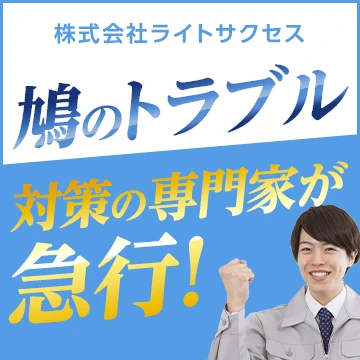 株式会社ライトサクセスのイメージ画像