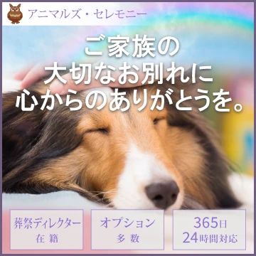アニマルズ・セレモニーのイメージ画像