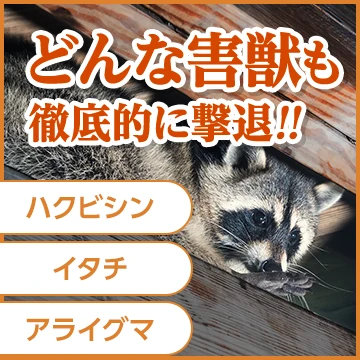 株式会社LRのイメージ画像