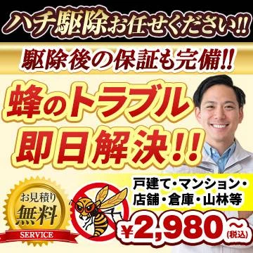 ハチの鉄人のイメージ画像