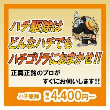 ハチゴリラのイメージ画像