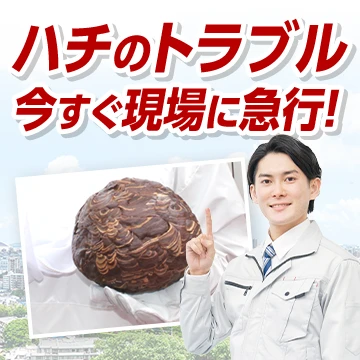 株式会社RSXのイメージ画像
