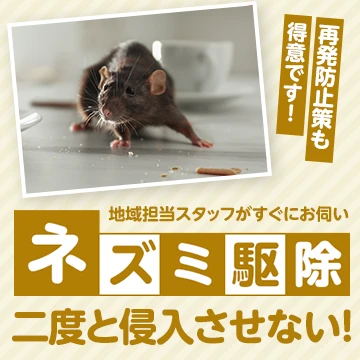 株式会社LEAPのイメージ画像