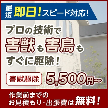 駆除プロ緊急隊のイメージ画像