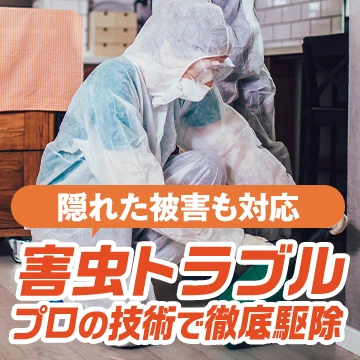 株式会社パキラのイメージ画像