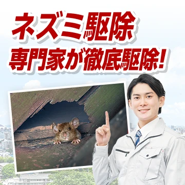 株式会社RSXのイメージ画像