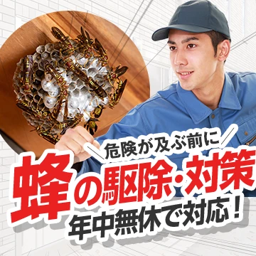 watch outのイメージ画像