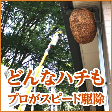 株式会社LRのイメージ画像