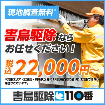 害鳥駆除110番のイメージ画像
