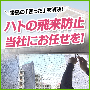 Rレスキューのイメージ画像