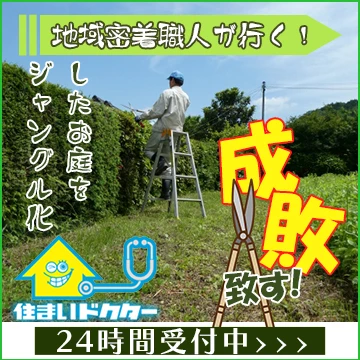 ueki_logo