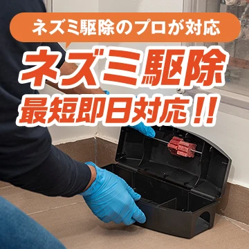 株式会社パキラのイメージ画像