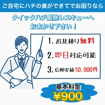 クイックハチ駆除レスキューのイメージ画像