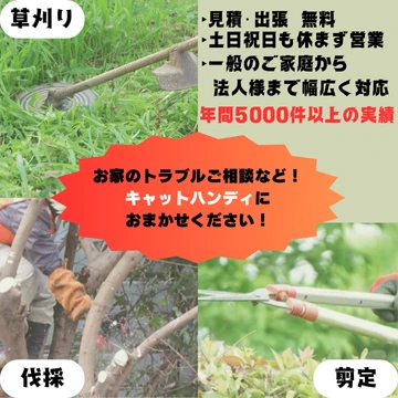 合同会社cathandyのイメージ画像
