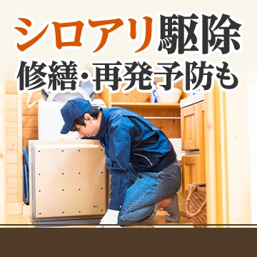 キズナのイメージ画像