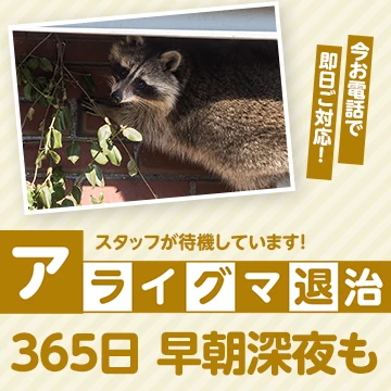 株式会社LEAPのイメージ画像