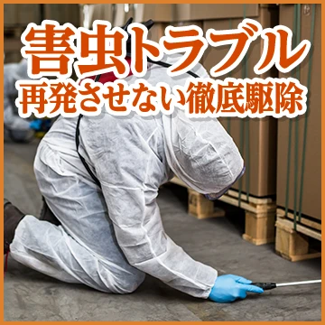株式会社LRのイメージ画像