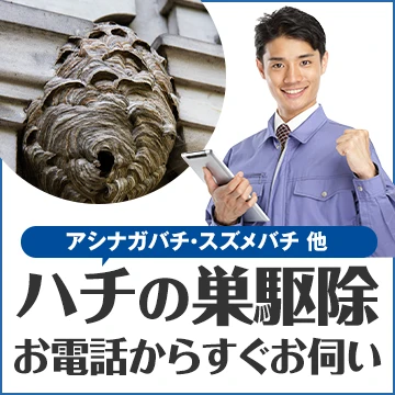 クラシモのイメージ画像