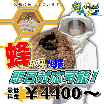 クイックキャットのイメージ画像