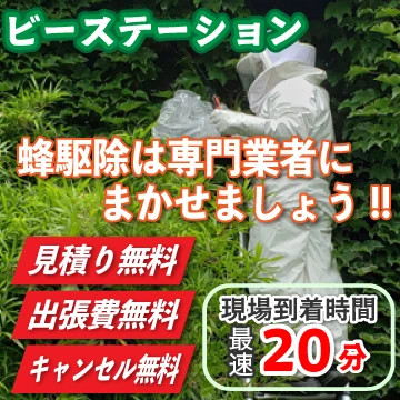 ビーステーションロゴ画像
