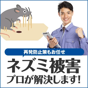 クラシモのイメージ画像