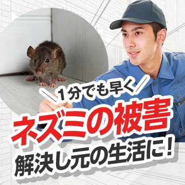 watch outのイメージ画像