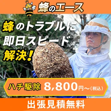 蜂のエースのイメージ画像