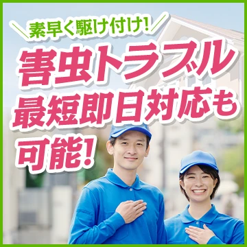 Rレスキューのイメージ画像