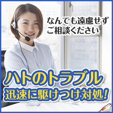 株式会社Raiseのイメージ画像