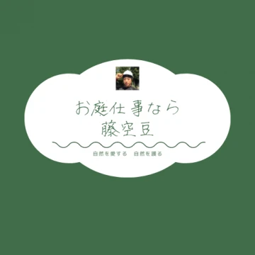 合同会社 藤空豆のイメージ画像