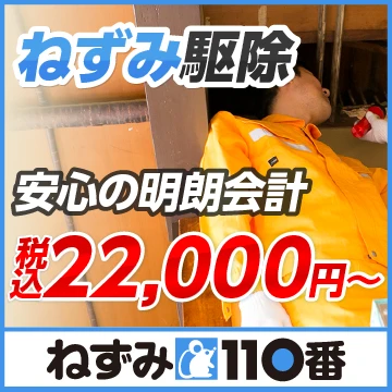 ねずみ110番のイメージ画像
