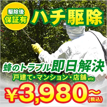 ハチの鉄人のイメージ画像