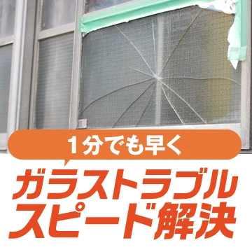 株式会社パキラのイメージ画像