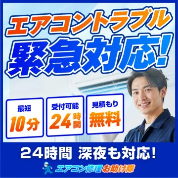 pinakida_airecon_logo