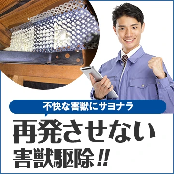 クラシモのイメージ画像
