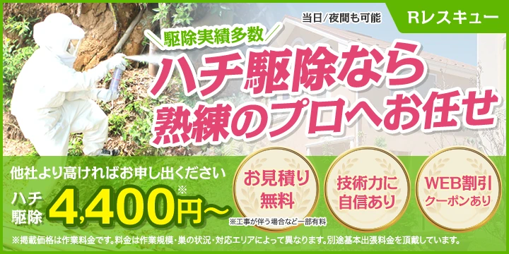 Rレスキューイメージ画像