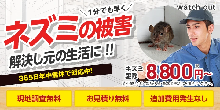 watch outイメージ画像