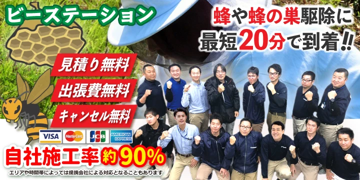 ビーステーションバナー