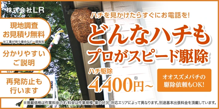 株式会社LRイメージ画像