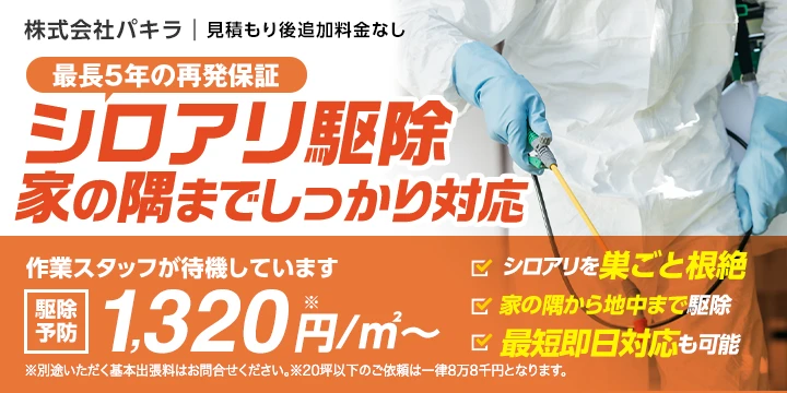 株式会社パキライメージ画像