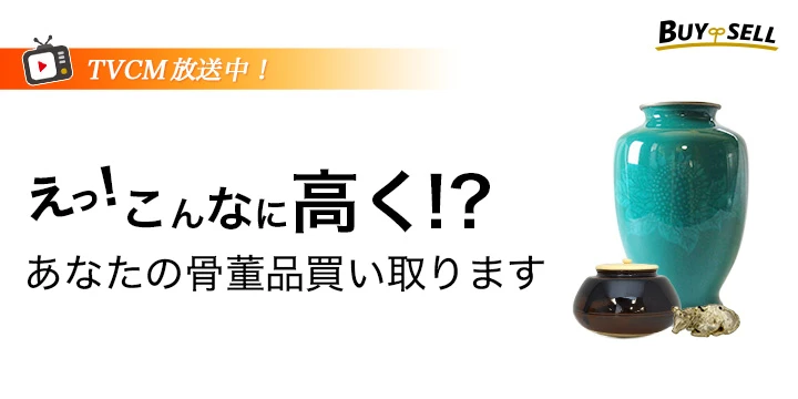 バイセルイメージ画像