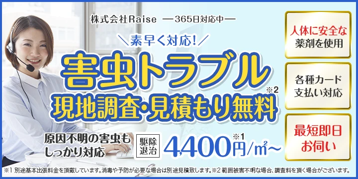 株式会社Raiseイメージ画像