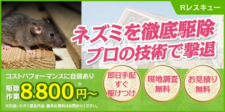Rレスキューイメージ画像