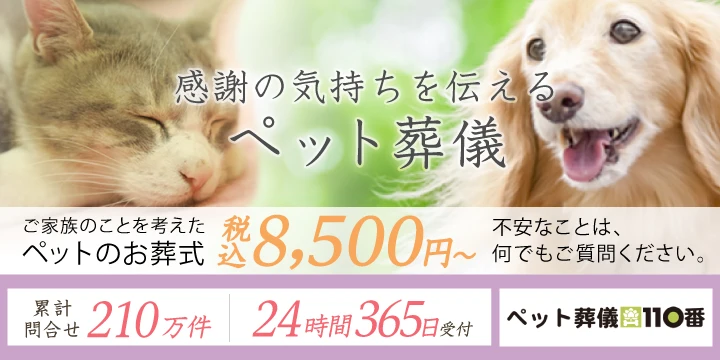 ペット葬儀110番イメージ画像