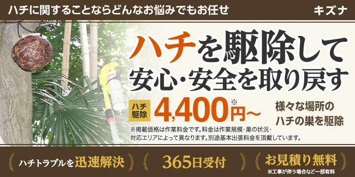 キズナイメージ画像